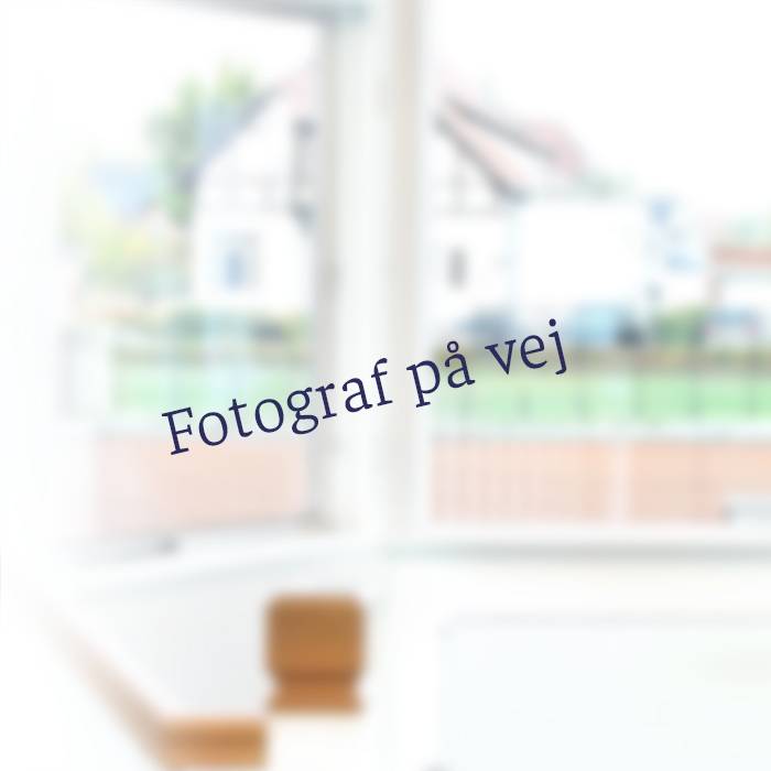 fotograf paa vej_700